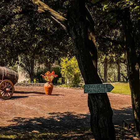 Feriehus Monolocale Casenuove Con Giardino Castiglioncello