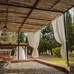Monolocale Casenuove Con Giardino Ferienhaus Castiglioncello