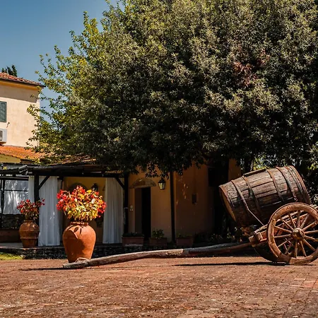 Holiday home Monolocale Casenuove Con Giardino Castiglioncello