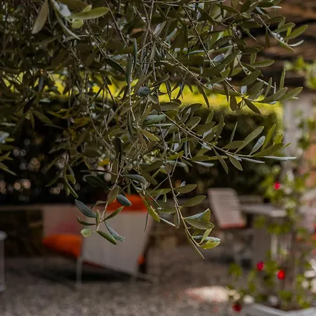 Monolocale Casenuove Con Giardino Holiday home *